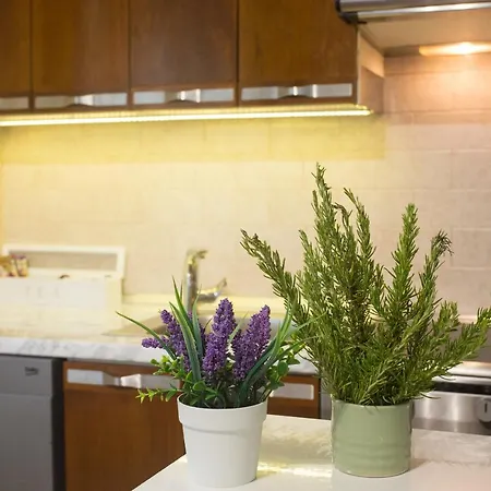 Location & Downtown Park Apartman *